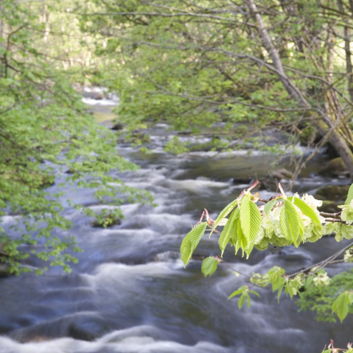 Water from the Turret Burn