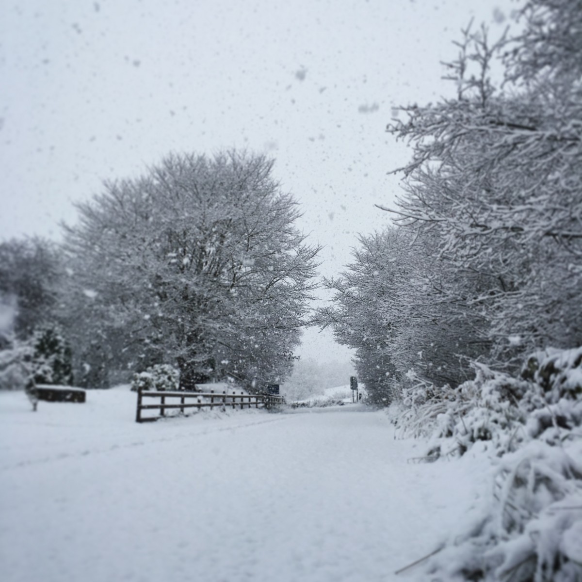 Big Snow Flakes: Coshieville @little.scottish.one