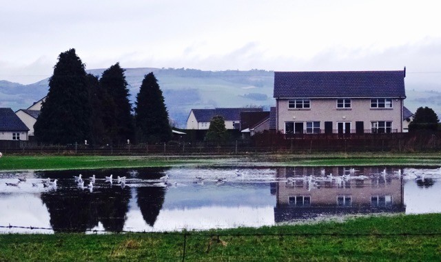 Pop up Loch, Grange @technoalli123