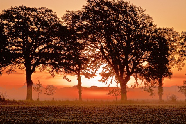 Carse Sunset @technoalli123