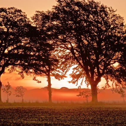 Carse Sunset @technoalli123