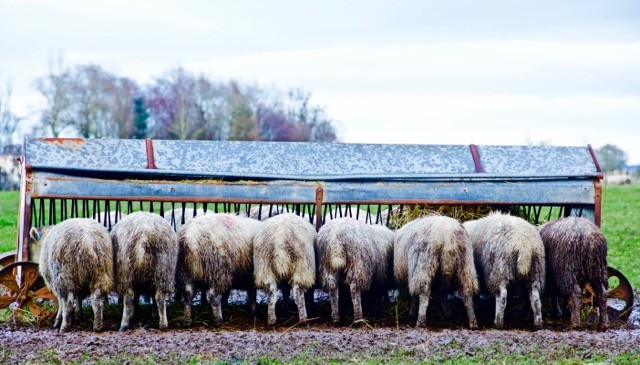 Inspection @technoalli123