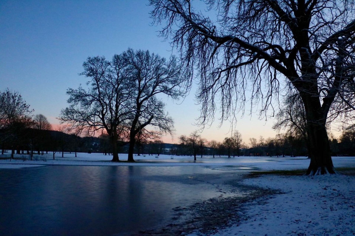 Frozen Puddle @hannahketts