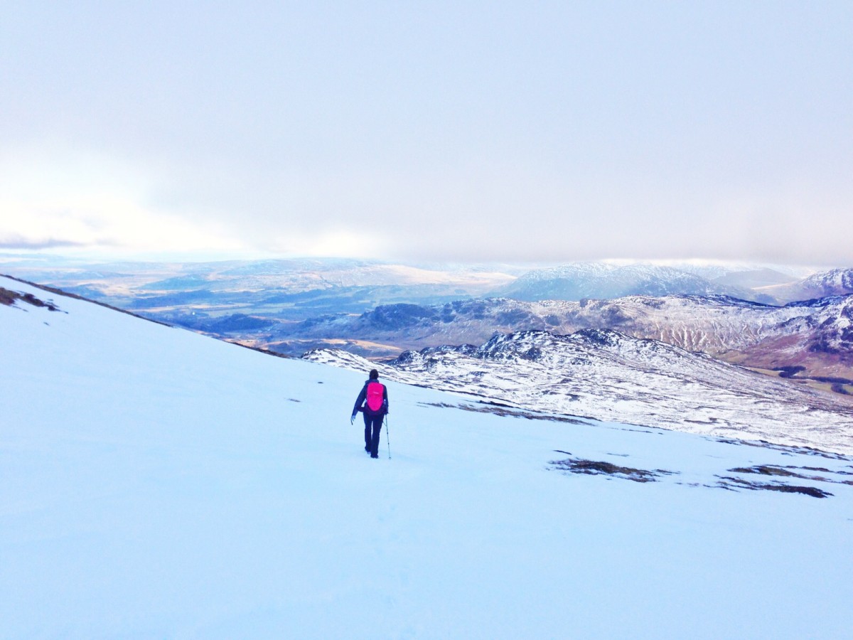 Ben Chonzie @bumblebambi