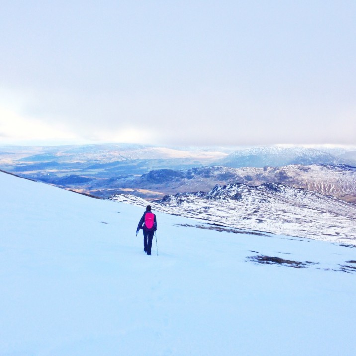 Ben Chonzie @bumblebambi