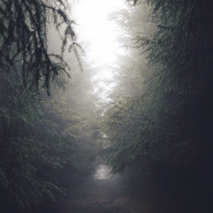 A misty walk in Glen Devon @berriestagram