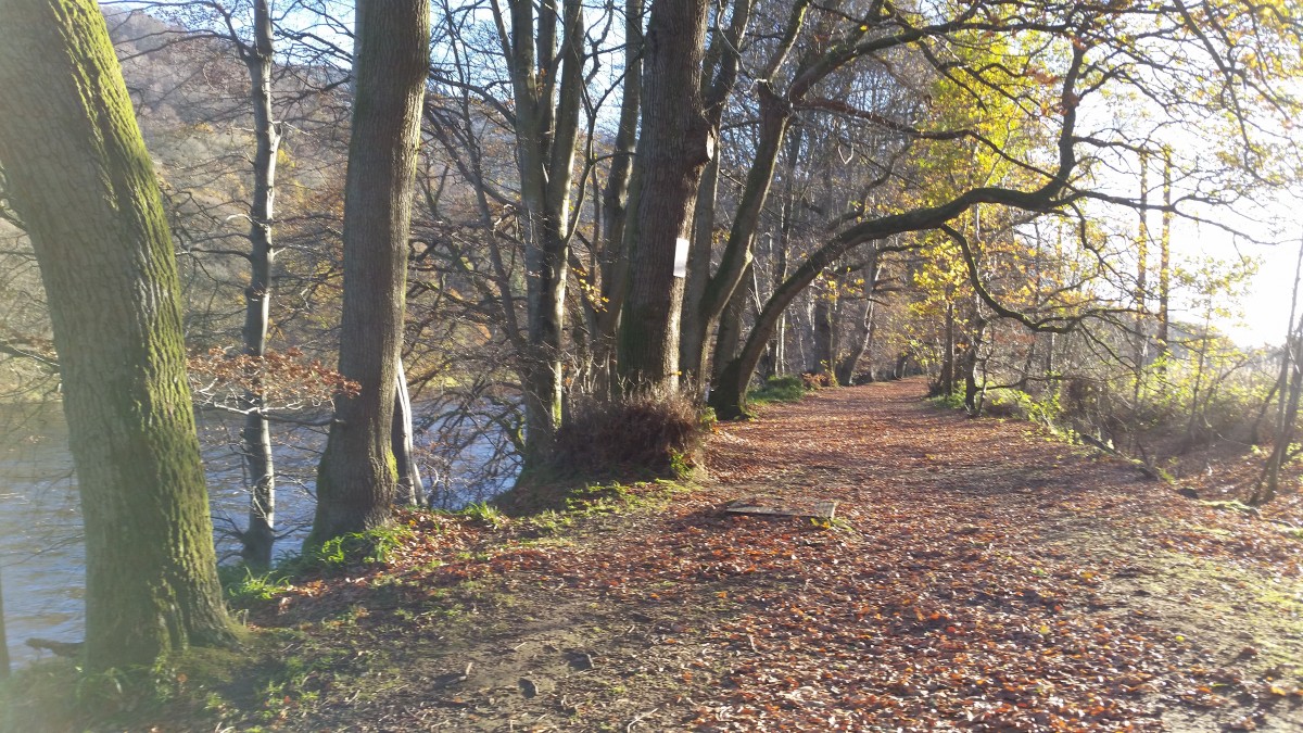 Tranquil path, Dunkeld @vab4eva