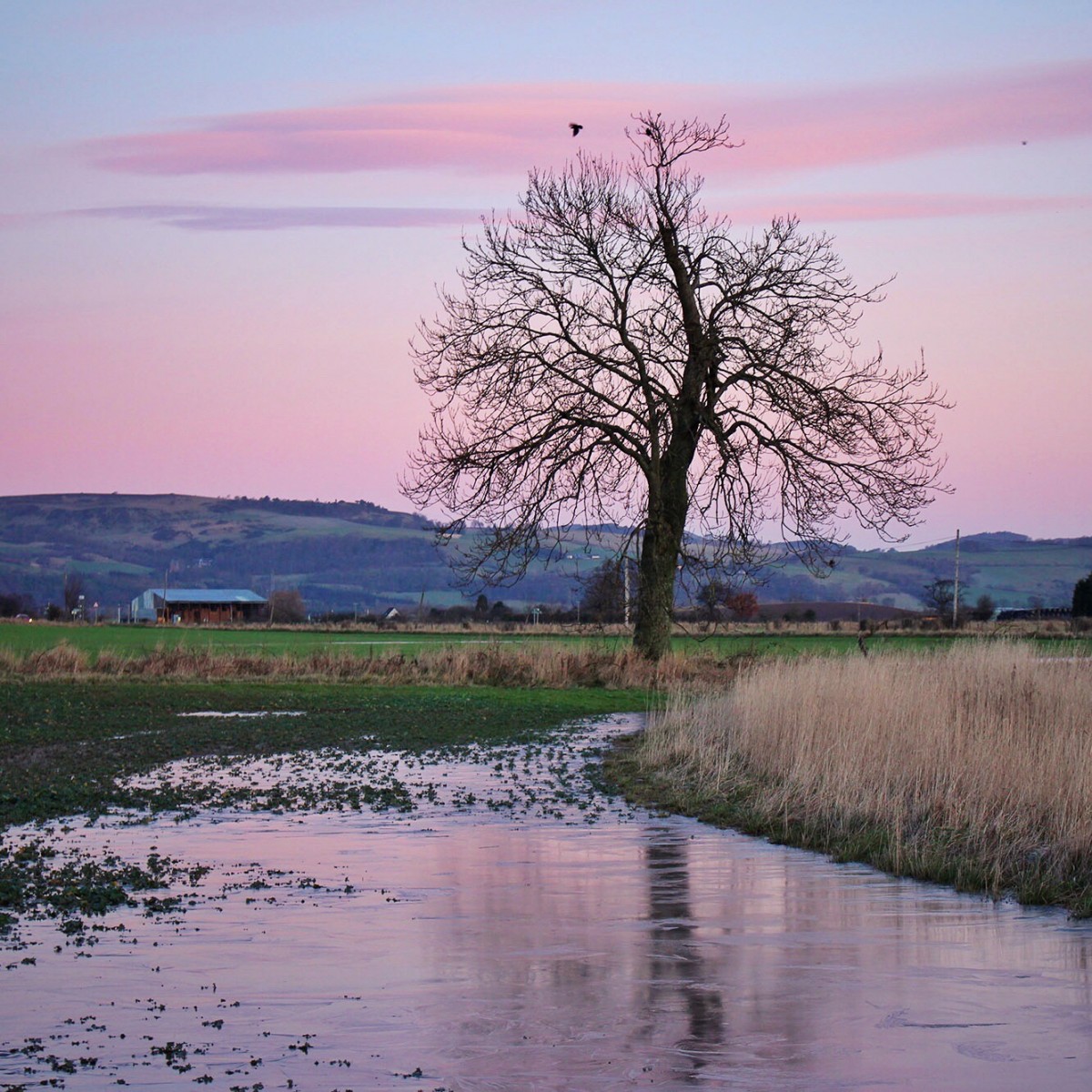 Errol Sunrise @kristyashton