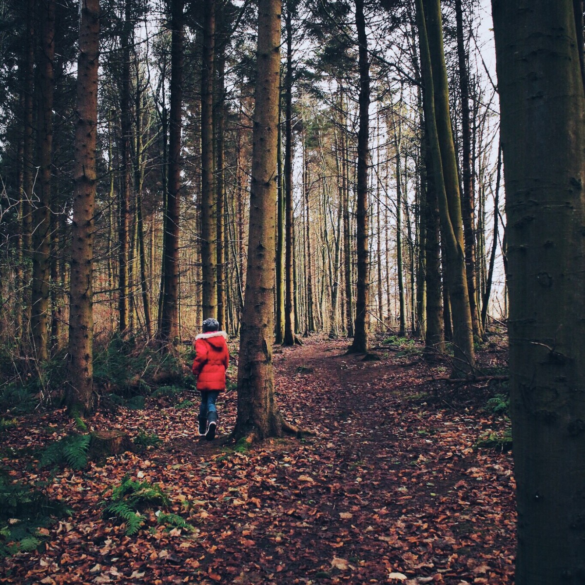 Chasing the sun, Huntly Woods @kristyashton