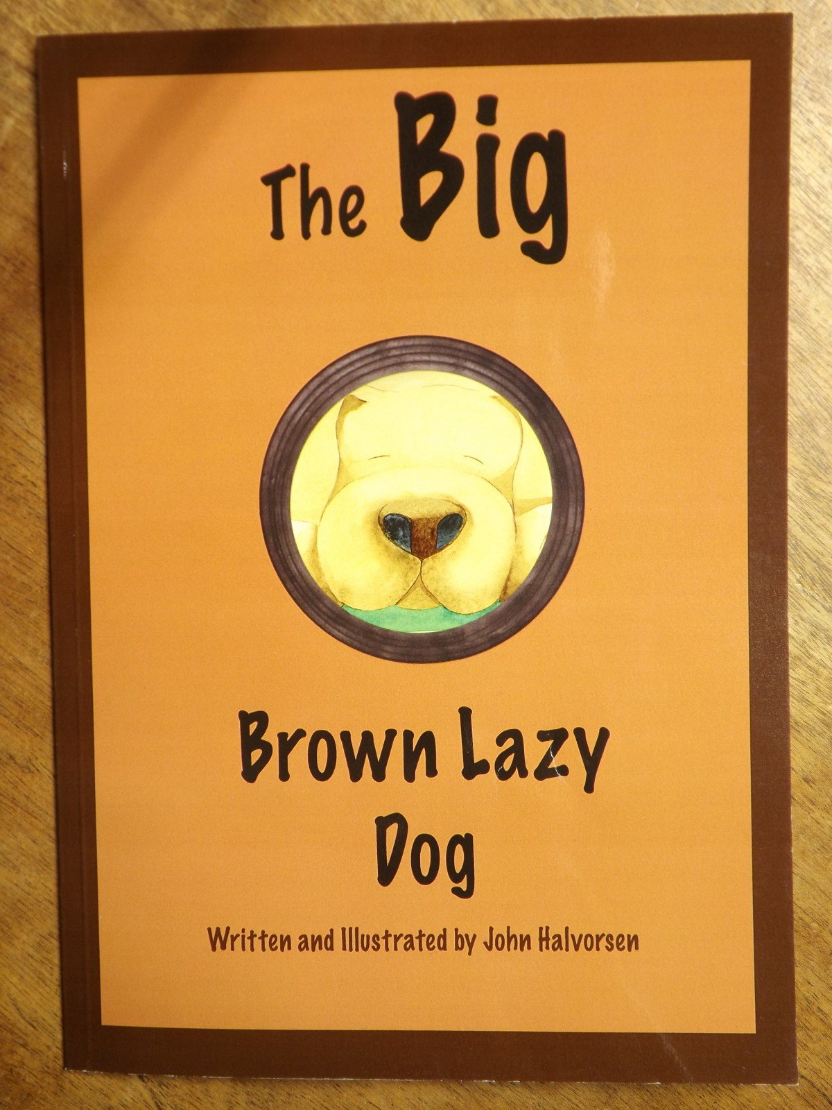 Book Feature: The Big Brown Lazy Dog