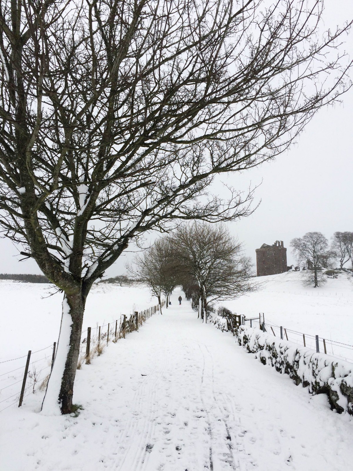 The road in @iangblack