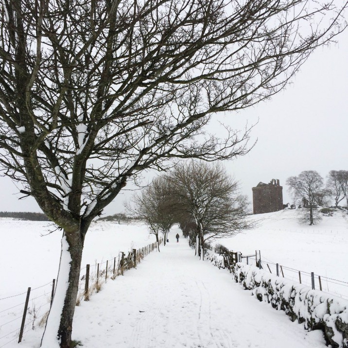 The road in @iangblack