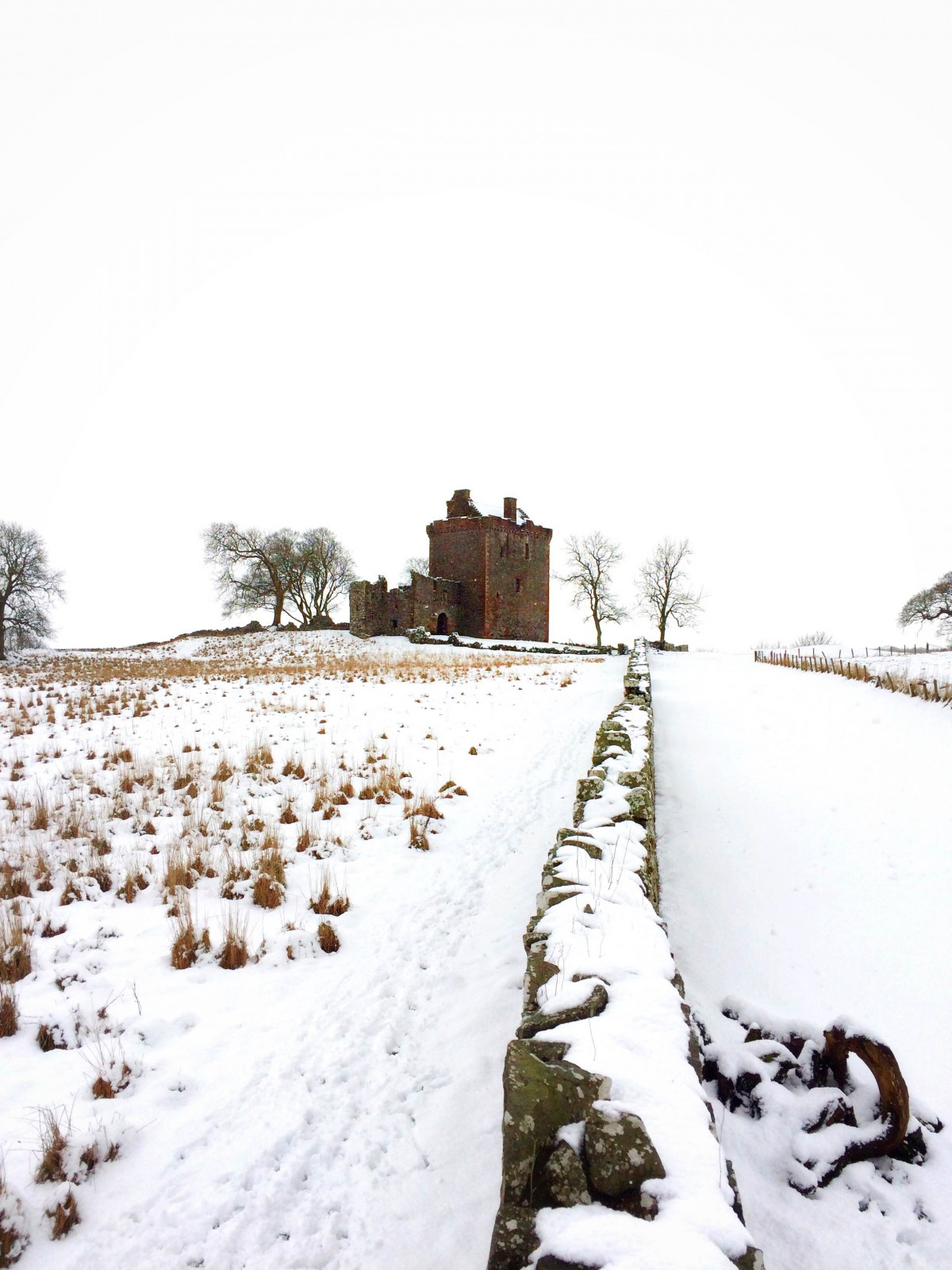 Balvaird Lines @iangblack