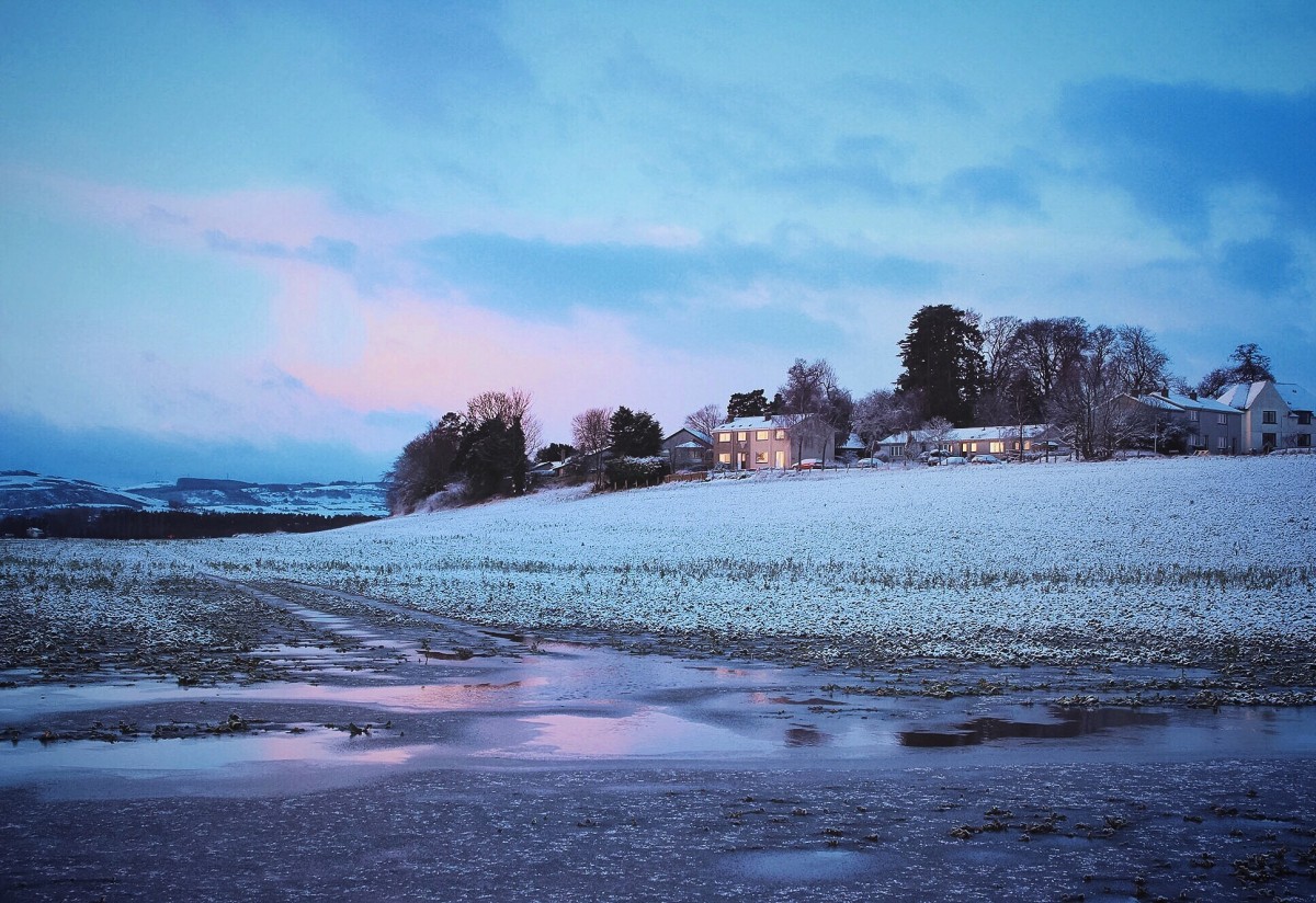 Frozen Errol @kristyashton