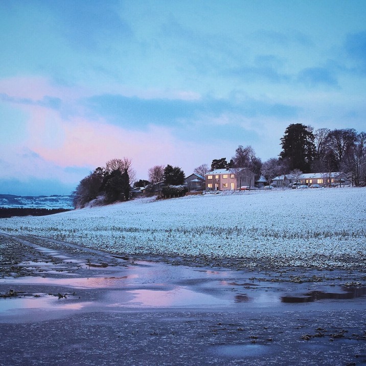 Frozen Errol @kristyashton