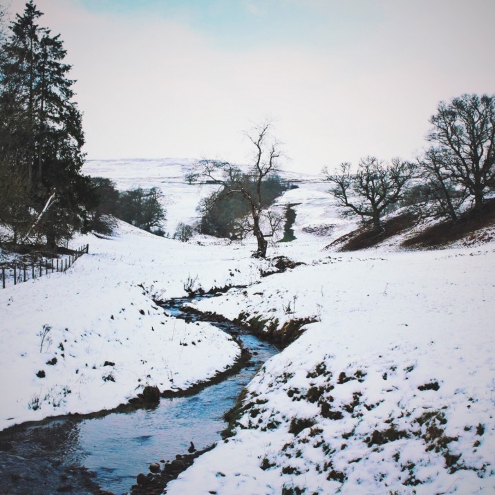 A walk in Monzie @kristyashton