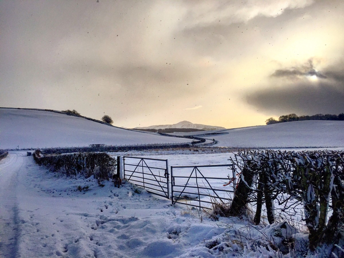 Arngask, looking onto the Lomond Hills, Eilidh Sutherland