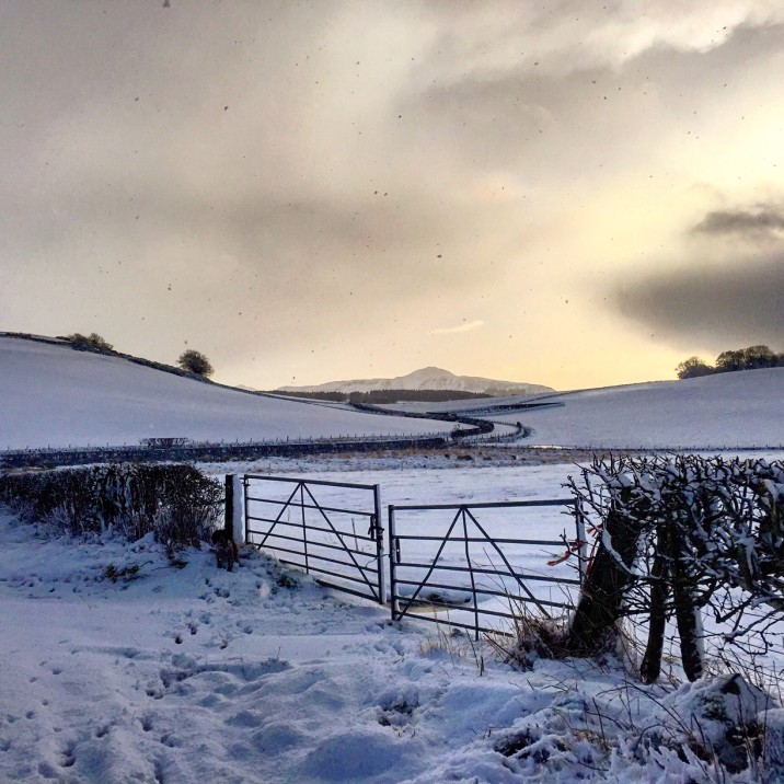 Arngask, looking onto the Lomond Hills, Eilidh Sutherland