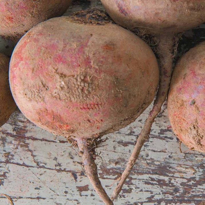 This healthy root vegetable the base of this delicious brownie recipe.