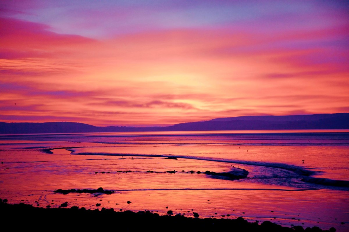 Pink Morning: Allison Mcmahon