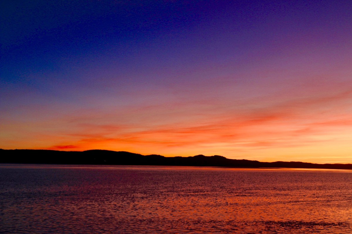 Tay Magic: Allison Mcmahon