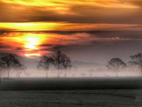 Balgay Farm: Allison Mcmahon