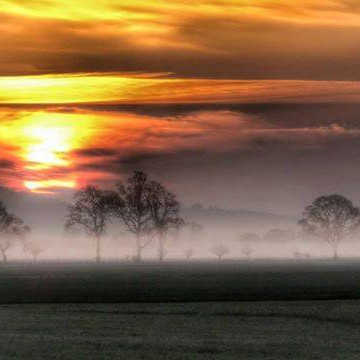 Balgay Farm: Allison Mcmahon