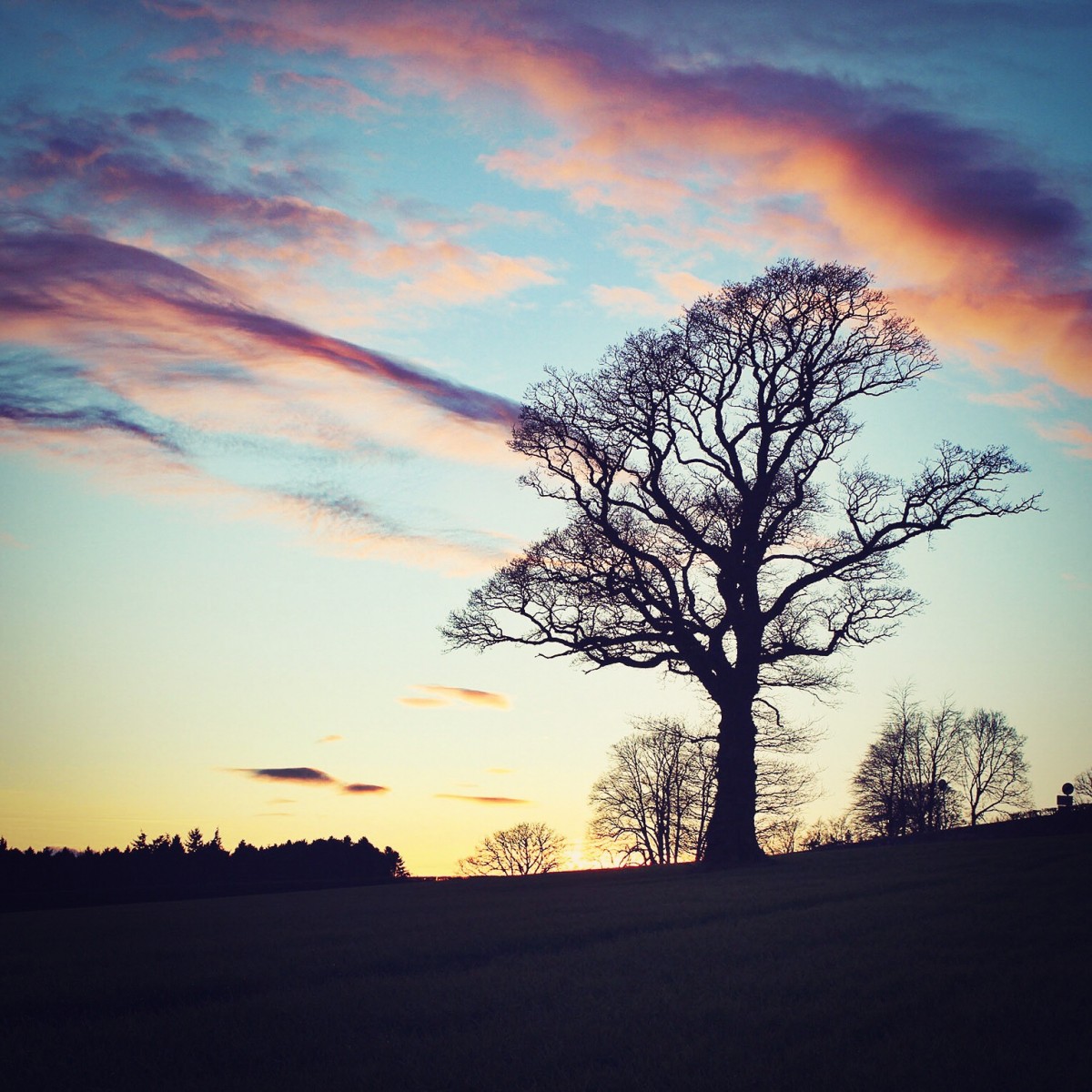 Candy Floss Clouds, Errol: Kristy Ashton