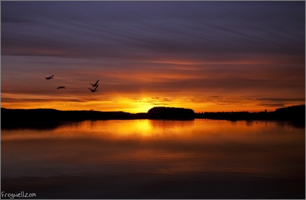 Sunset over Upper Rhynd Reservoir: Mark Nesbitt