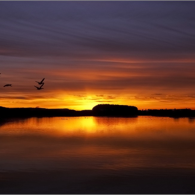 Sunset over Upper Rhynd Reservoir: Mark Nesbitt