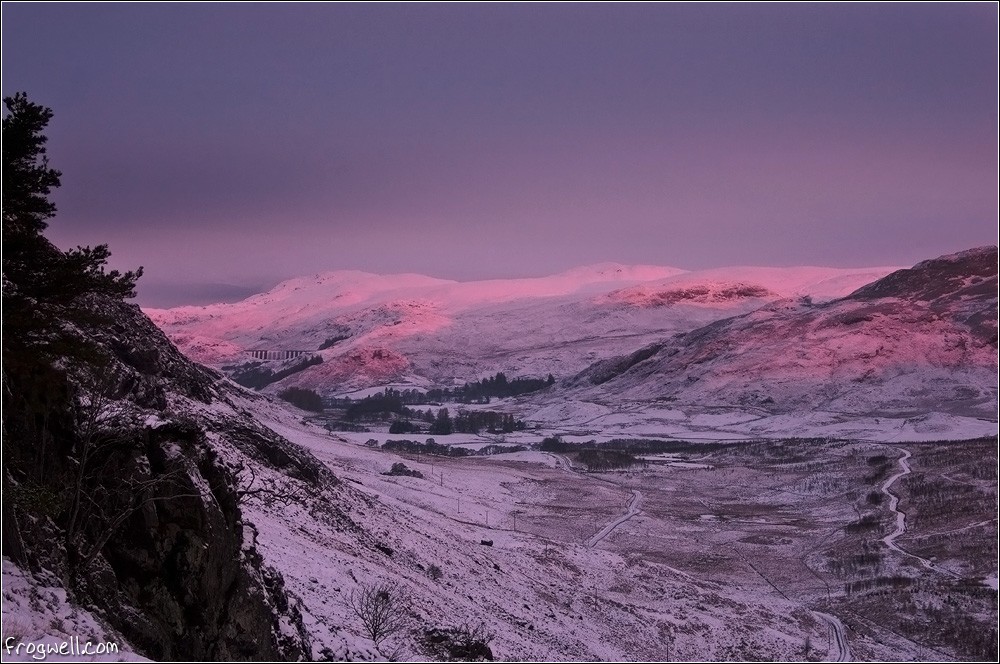 Glen Lednock in pink: Mark Nesbitt
