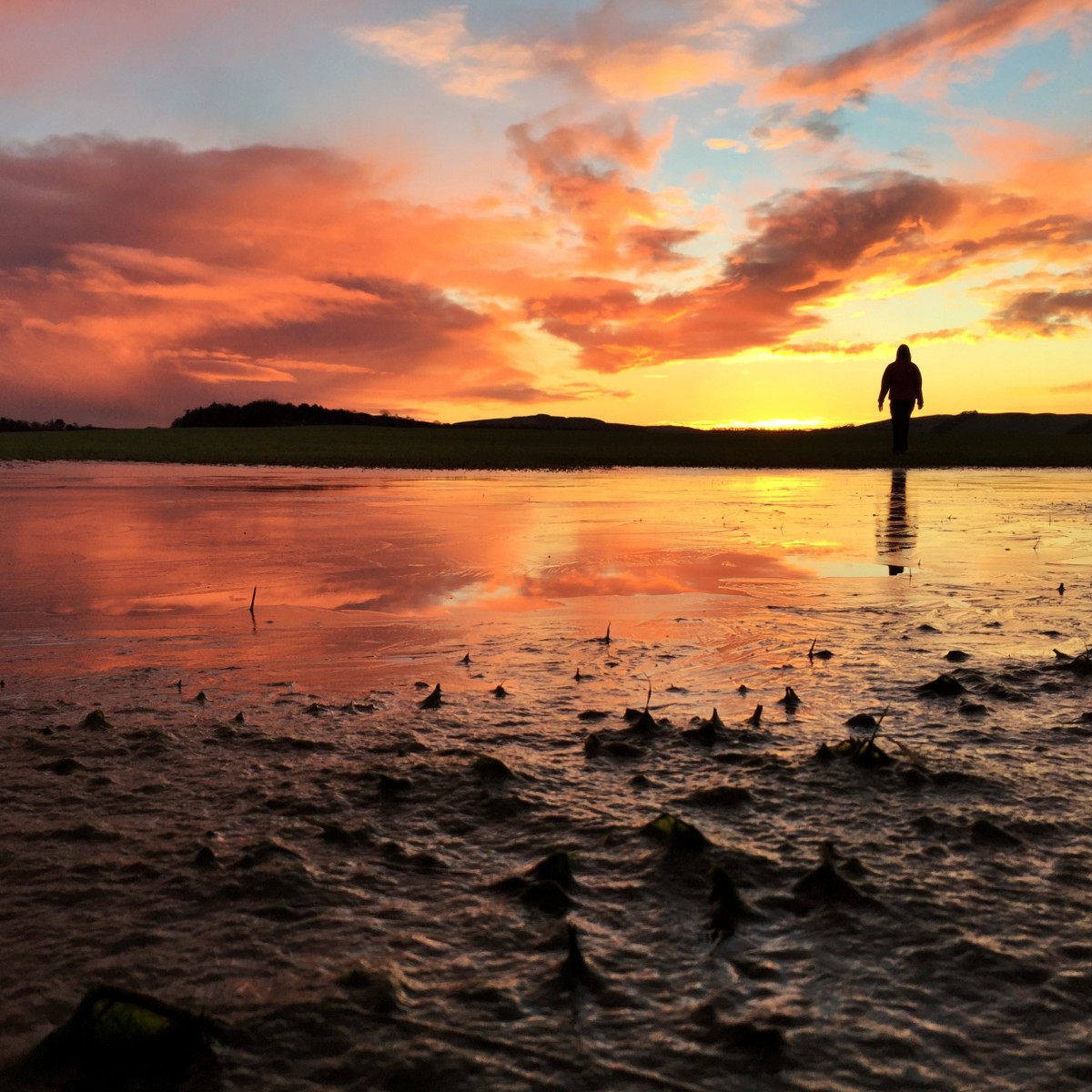 Sunrise muddy puddle, Glencarse:  Kristy Ashton