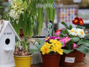 GLENDOICK MOTHERS DAY 1