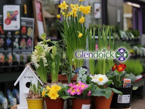 2 GLENDOICK MOTHERS DAY