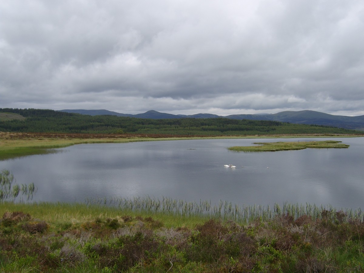 Loch Curran in Perthshire - a spectacular example of Scottish countryside.
