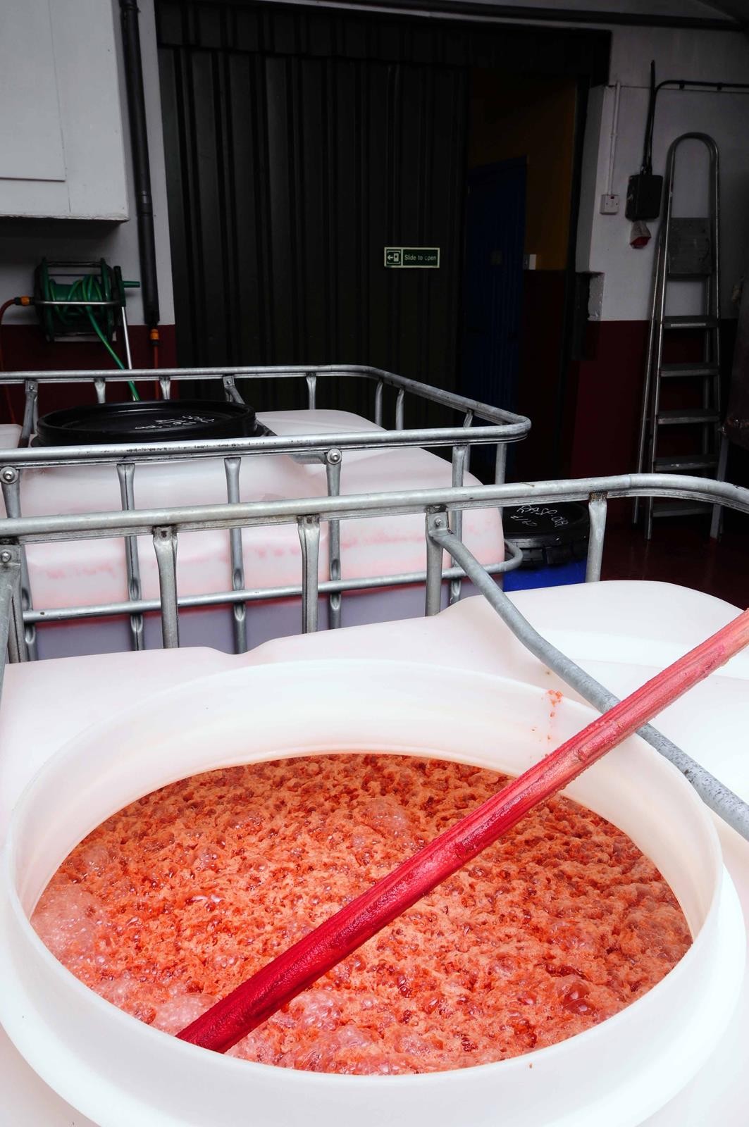 Some juicey raspberry on the go