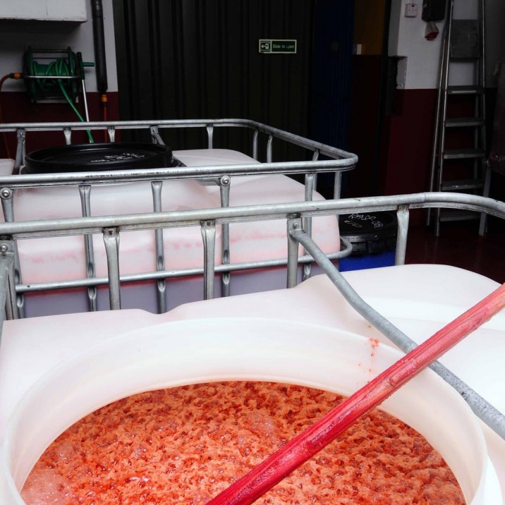 Some juicey raspberry on the go