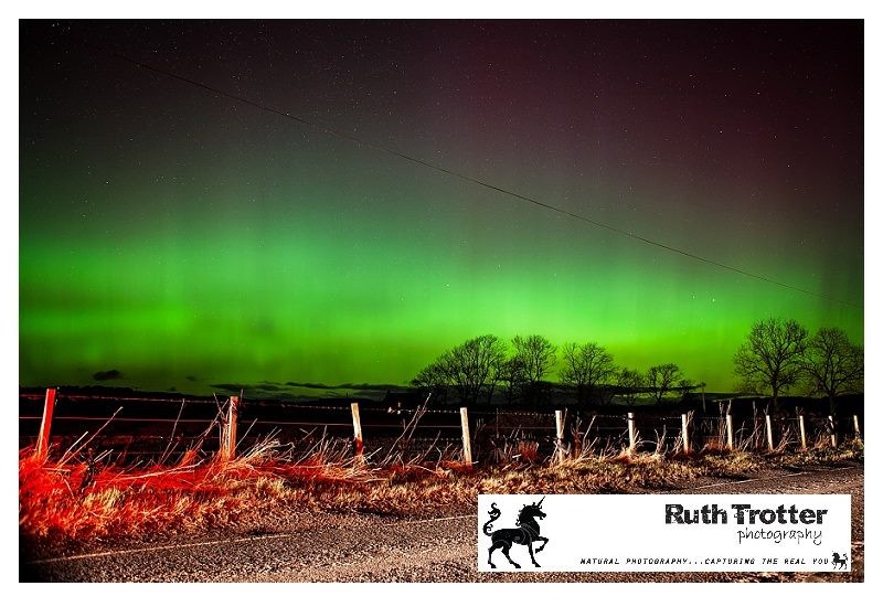 A stunning image from Ruth Trotter Photographer from the magnificent Northern Lights spectacular across Perthshire.