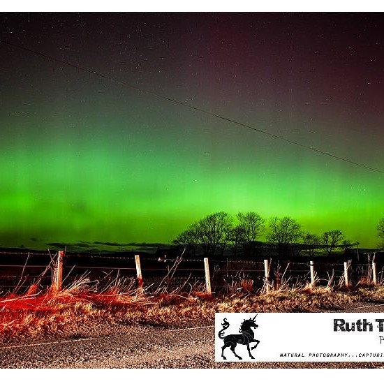 A stunning image from Ruth Trotter Photographer from the magnificent Northern Lights spectacular across Perthshire.