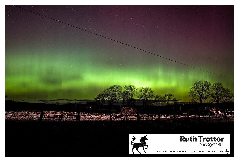 Ruth Trotter took to the countryside of Bankfoot to capture this stunning image of the Northern Lights over Perth.