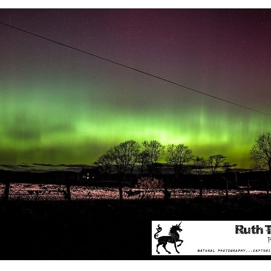 Ruth Trotter took to the countryside of Bankfoot to capture this stunning image of the Northern Lights over Perth.