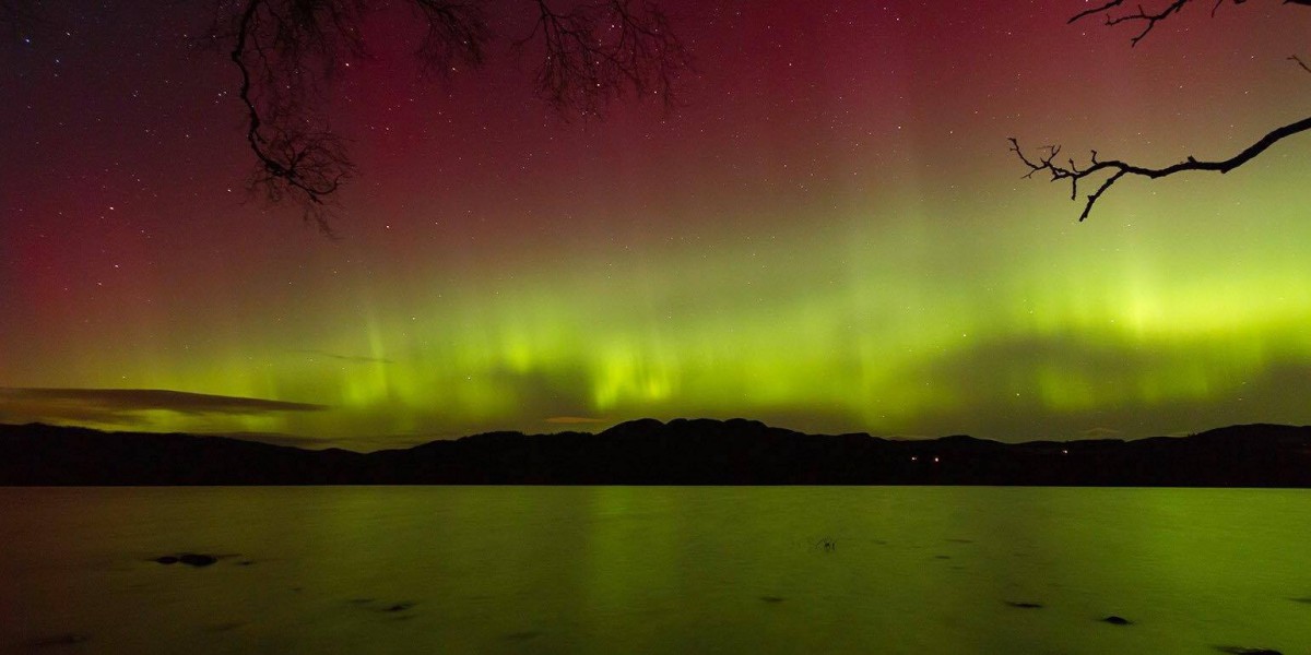 Our friend Jamie was out at Loch of the Lowes for the Aurora Borealis display and captured this eerie golden glow with soft pink hues.