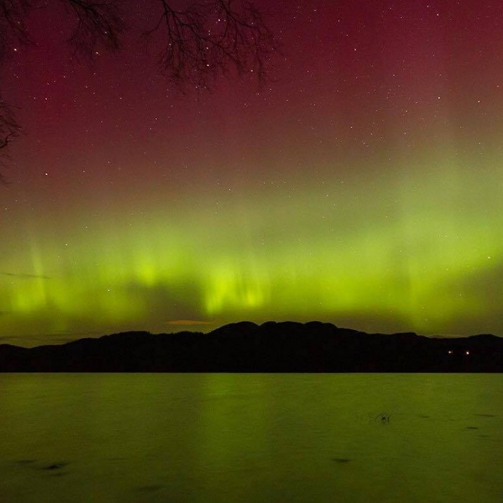 Our friend Jamie was out at Loch of the Lowes for the Aurora Borealis display and captured this eerie golden glow with soft pink hues.
