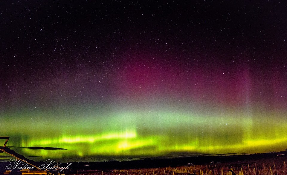 Violet, turquoise and yellow ribboned layers settled over Perthshire in one of our most spectacular displays of Northern Lights.