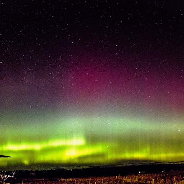 Violet, turquoise and yellow ribboned layers settled over Perthshire in one of our most spectacular displays of Northern Lights.