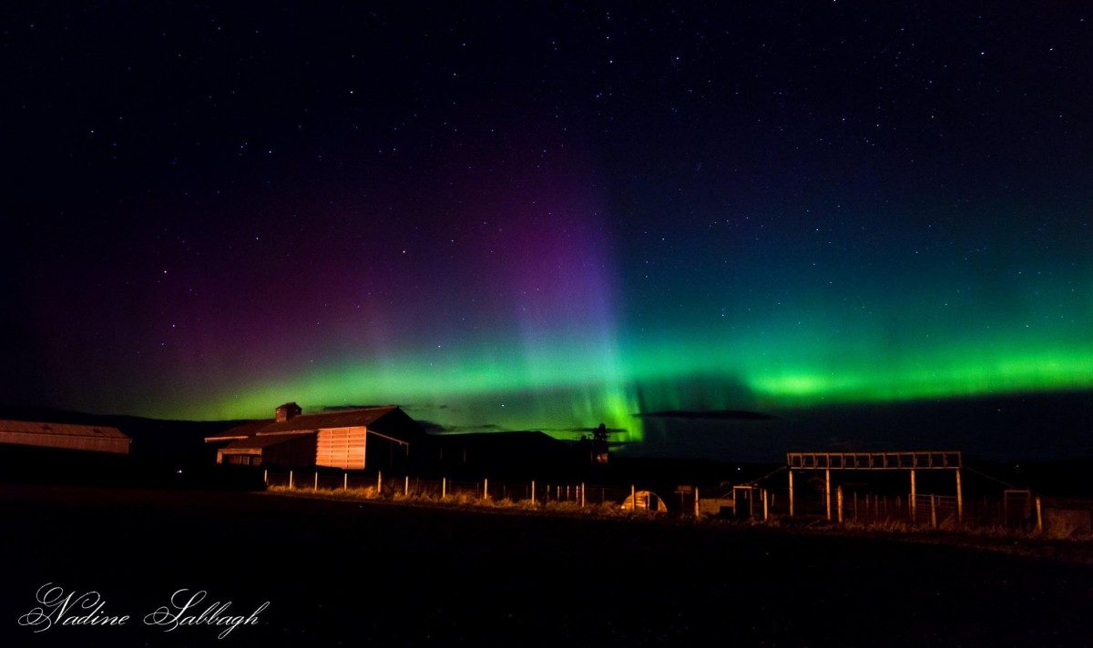 The Northern Lights over Gloagburn Farm in Perthshire, captured by Nadine Sabbagh.