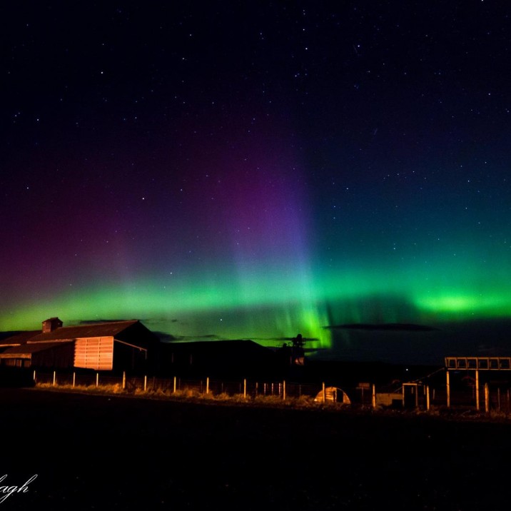 The Northern Lights over Gloagburn Farm in Perthshire, captured by Nadine Sabbagh.