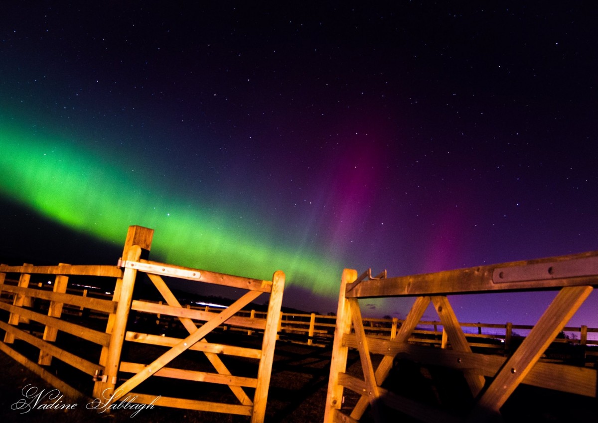 Nadine Sabbagh captured this stunning scene at Gloagburn in Perth.