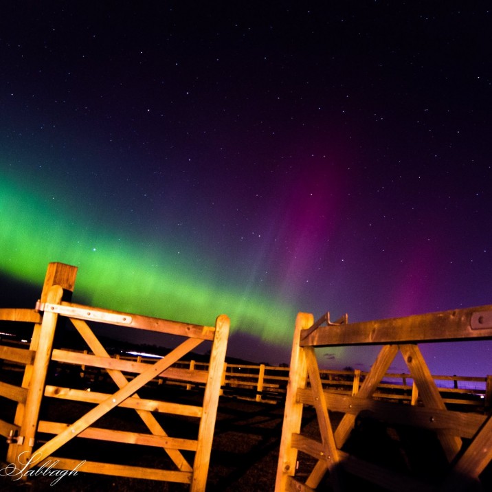 Nadine Sabbagh captured this stunning scene at Gloagburn in Perth.