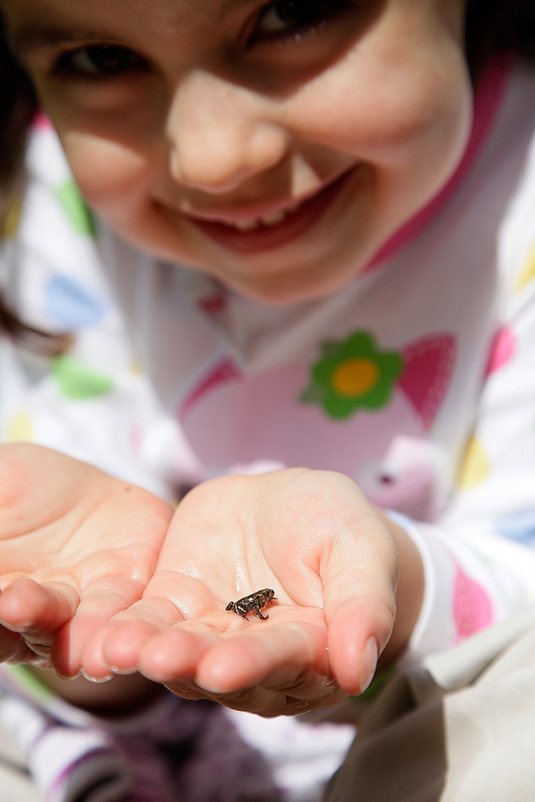 Easter RSPB girl with frog